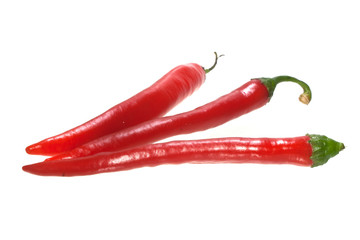 pepper isolated on white background