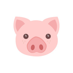 Cartoon pig face. white background. Vector illustration
