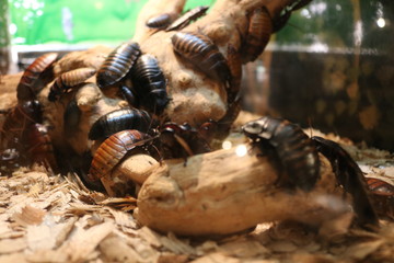 closeup of hands with gloves