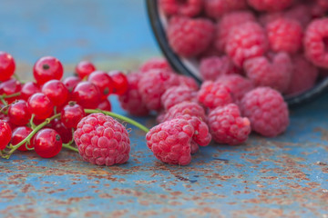 Fresh raspberries close-up on  dark background