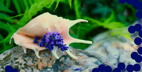 naturheilkunde mit lavendel