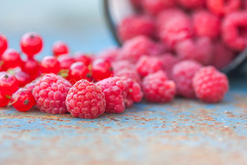 Fresh raspberries close-up on  dark background