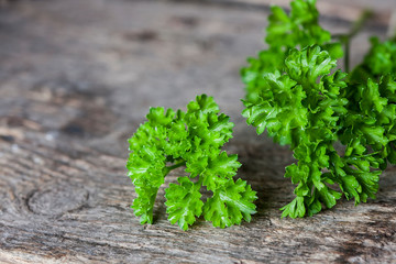 Fresh parsley on wood background.