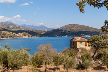 Fototapeta na wymiar Landscape view with an olive grove and an old abandoned house overlooking the sea, typical of the Mani region, part of Peloponnese Peninsula, Greece. Photo take