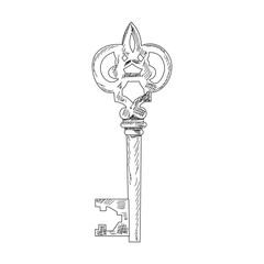 vector, on white background, sketch, vintage key