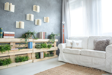 Sofa and bookshelf in room