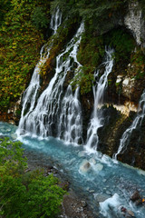 Obraz premium 白ひげの滝