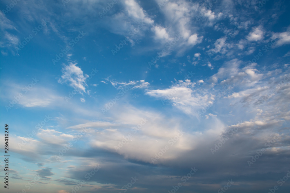 Wall mural white curly clouds in a blue sky. sky background