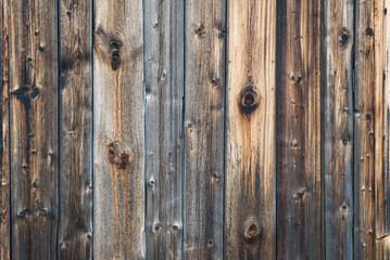 Obraz premium Burnt wood burned lumber wall fence texture pattern dark
