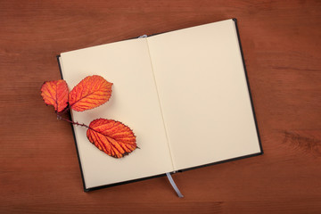 A photo of an open journal with a thorny branch with autumn leaves, shot from above on a dark rustic wooden background with a place for text