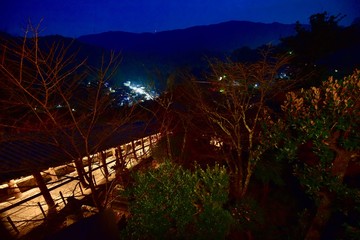 寺の門の夜景と紅葉