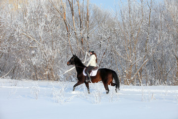 Fototapeta na wymiar Pretty woman riding her horse through snow at Xmas morning