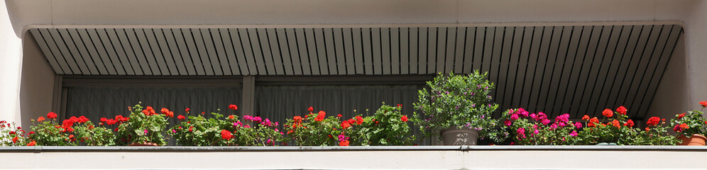 Balcon fleuri