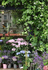 Fototapeta premium Vitrine de fleuriste