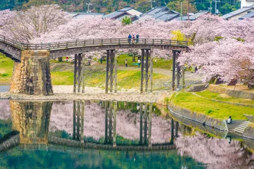 Küchenrückwand Plexiglas Kintai-Brücke Sakura und Kintaikyo-Brücke