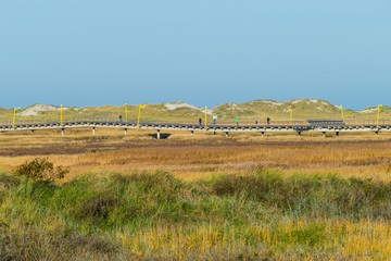 Obraz premium Seebrücke St. Peter-Ording in herbstlicher Salzwiese
