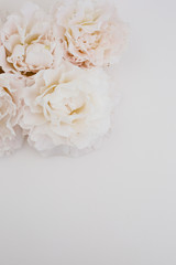 Obraz na płótnie Canvas pink flowers bouquet in white background