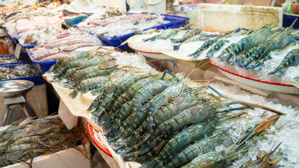 Fine selection for dinner, Fresh shrimps and seafood on ice counter background in supermarket.