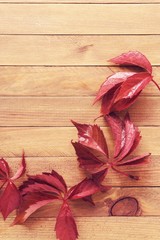  autumn leaves on a wooden table