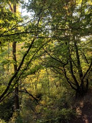 Obraz premium Boy and a girl holding large apples