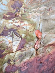 Stone texture, beach rocks
