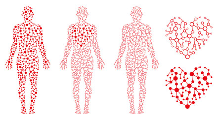 Human Body Health, Heart and Blood, Blood Circulation
