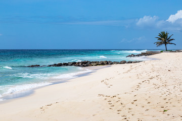 A white sandy beach on the island of Barbados