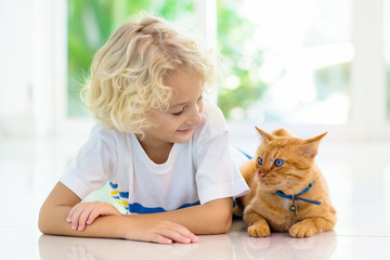 Child feeding home cat. Kids and pets.