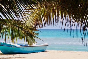 Blue boat under palm leaves on tropical beach of Nilaveli, Sri Lanka