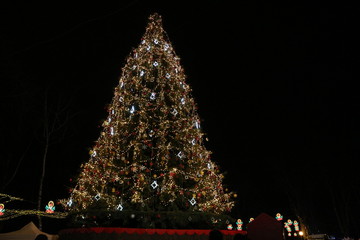 Beautiful Christmas tree decorates the square