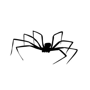  isolated silhouette of spider on white background