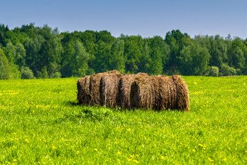 The haystacks in the field