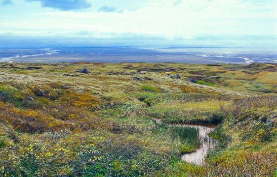 Bach in Hochmoor, im Hintergrund Fluss Skeidara / Skeiðará auf Sanderfläche des Skeiðarásandur, Vatnajökull-Nationalpark, ehemaliger Skaftafell-Nationalpark, Austurland, Island / Iceland, Europa 