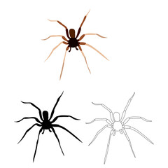 vector, isolated, set of insects, spider, sketch and silhouette