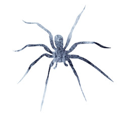 gray silhouette of spider watercolor