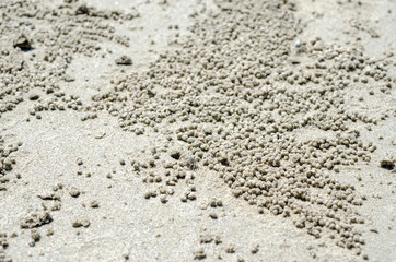 Sand on the beach with blurred background