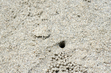 Fototapeta na wymiar Sand on the beach with blurred background