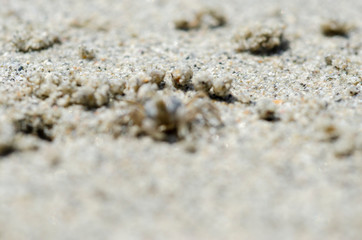 Fototapeta na wymiar Sand on the beach with blurred background