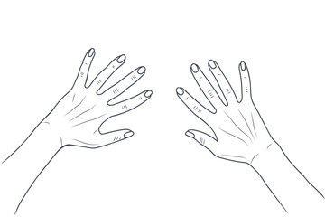 Sketch illustration - women's hands.