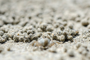 Sand on the beach with blurred background