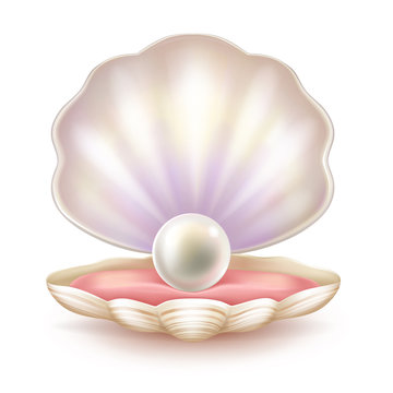 Perfect pearl lying on soft tissue of shelled mollusk realistic vector illustration isolated on white background. Rare natural jewel on velvet pillow in decorative case. Precious sea treasure concept