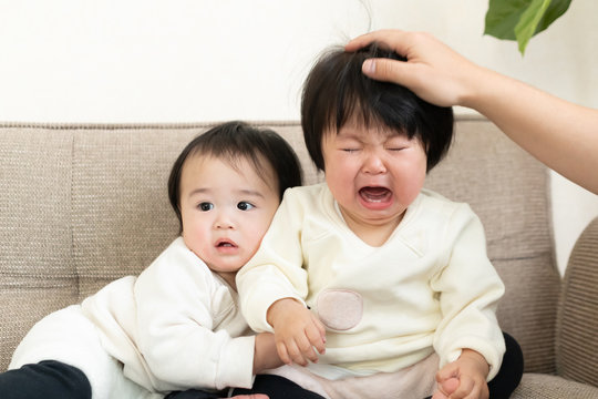 44 Best 兄弟げんか Images Stock Photos Vectors Adobe Stock