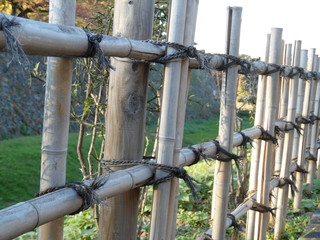 The fence next to Nagoya Castel
