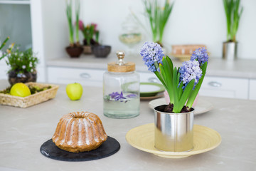 Spring still life, kitchen table with cake.
