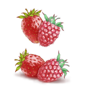 Hand drawn watercolor illustration of the healthy food. Raspberry and strawberry isolated on the white background