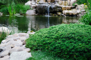 Fototapeta na wymiar Landscape design, fresh green grass and pond.