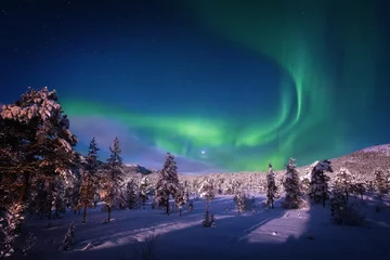 Fotobehang Aurora on the night sky, winter, Norway © Adrian