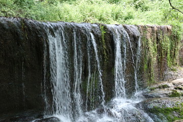 Naturaleza