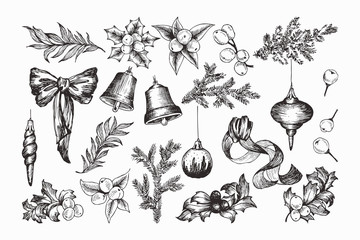 Set of isolated hand drawn monochrome christmas elements with bow, ribbons, conifers, spruce, bell, mistletoe, Christmas toys, berries, eucalyptus, winter ball vector illustration - 236425028