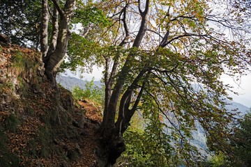 Obraz premium Panoramic view of the towers and spiers of the southern Grigna from the direct route, on a sunny autumn day.